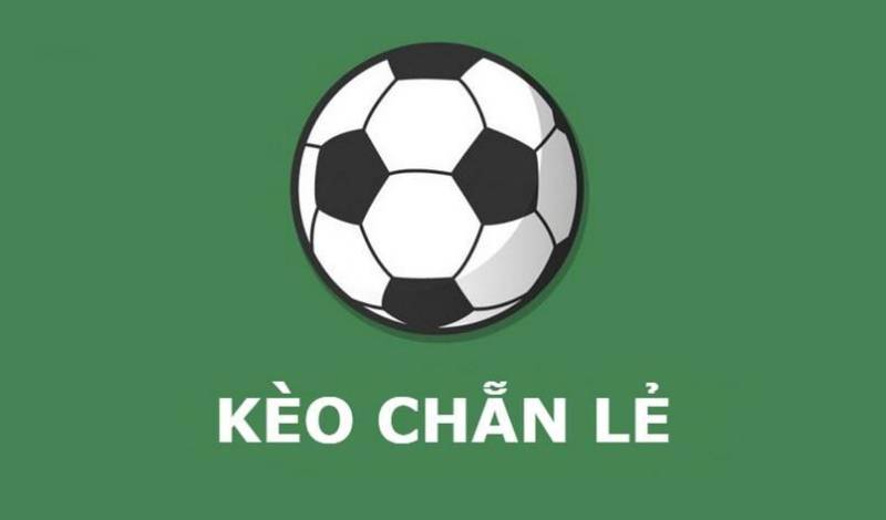 Kèo nhà cái Fund - Tỷ lệ kèo nhà cái 5 hôm nay keonhacai Kecevichito bóng đá trực tiếp 24/7 127 Keo Chan Le La Gi Cach Choi Va Meo Danh Bai Nha Cai